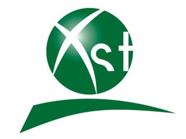 江西欣盛泰實業